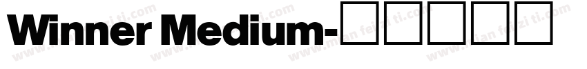 Winner Medium字体转换
